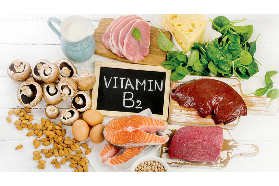 Vitamin B2 điều hòa sự tiết nhờn của tuyến bã