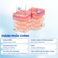 Nước tẩy trang làm dịu tẩy sạch và phục hồi cho da nhạy cảm Carenel Cicavita B5 AHA BHA Cleansing Water 500g