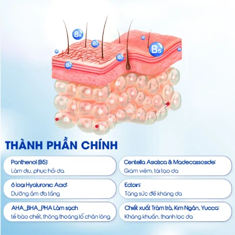 Nước Tẩy trang B5-04