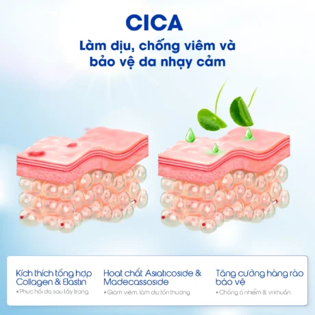 Nước Tẩy trang B5-05