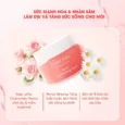 Mặt nạ ngủ môi dưỡng ẩm hồng môi tẩy tế bào hương dâu Care:nel Berry Lip Night Mask 23g