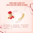 Mặt nạ ngủ môi dưỡng ẩm hồng môi tẩy tế bào hương lựu Carenel Pomegranate Lip Night Mask 23g