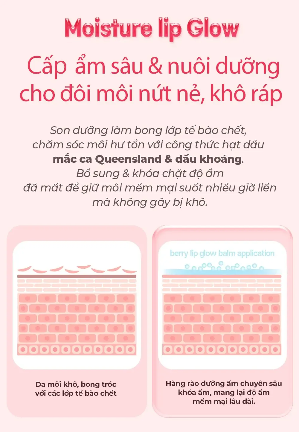 Sơ đồ cấp ẩm sâu cho môi: lớp tế bào chết bong tróc bên trái, hàng rào dưỡng ẩm của Carenel Berry Lip Glow Repair Balm bên phải