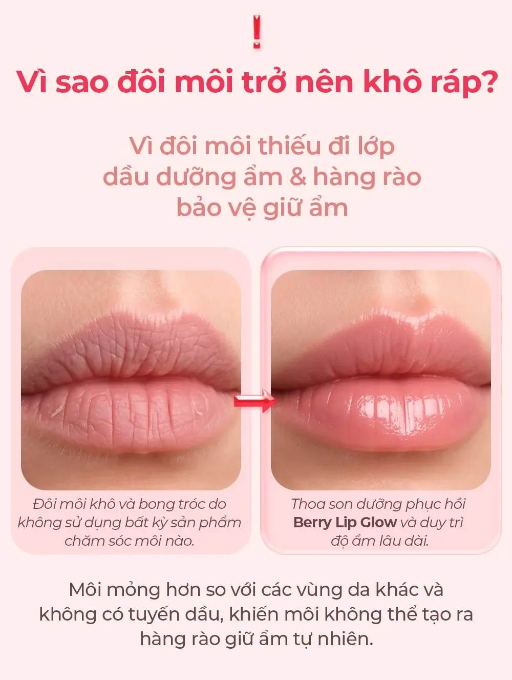 So sánh son dưỡng môi trước và sau khi thoa Carenel Berry Lip Glow Repair Balm: môi khô nứt nẻ chuyển sang căng bóng ẩm mượt